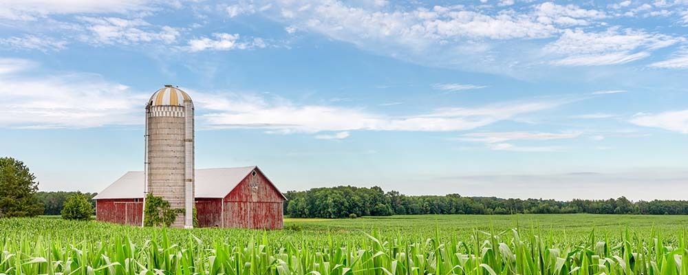 Hinckley & Big Rock estate planning and asset protection lawyer